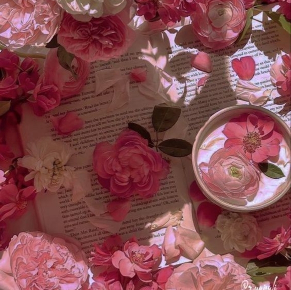 Meet your Posher, Sofia - Picture 1 of 1